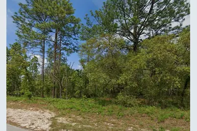6895 N Varsity Avenue, Citrus Springs, FL 34434 - Photo 3