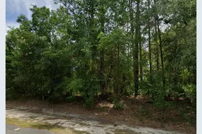 660 W Anderson Lane, Citrus Springs, FL 34434 - Photo 3