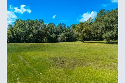 Tbd SE Hwy 41, Morriston, FL 32668 - Photo 7