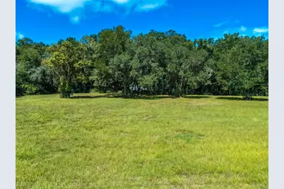 Tbd SE Hwy 41, Morriston, FL 32668 - Photo 5