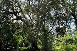 Lot 28 SW 109 Ln, Dunnellon, FL 34432 - Photo 1