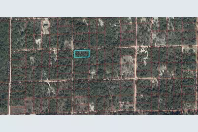 Tbd NE 86th Street, Bronson, FL 32621 - Photo 1