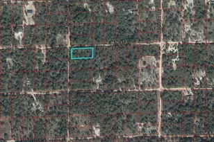 Tbd NE 86th St, Bronson, FL 32621 - Photo 1