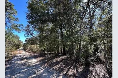 Tbd NE 86th Street, Bronson, FL 32621 - Photo 5