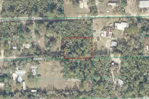 Tbd NE 234th Ln, Fort Mc Coy, FL 32134 - Photo 1