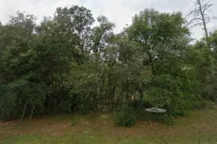 0 Marion Oaks Blvd, Ocala, FL 34473 - Photo 1