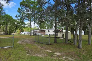 750 NE 131st Terrace, Williston, FL 32696 - Photo 3