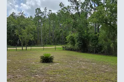 750 NE 131st Terrace, Williston, FL 32696 - Photo 45