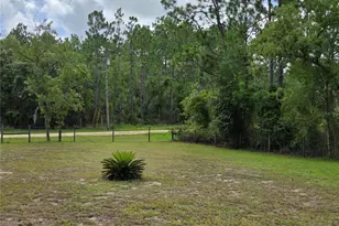 750 NE 131st Terrace, Williston, FL 32696 - Photo 45
