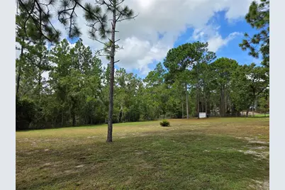 750 NE 131st Terrace, Williston, FL 32696 - Photo 43