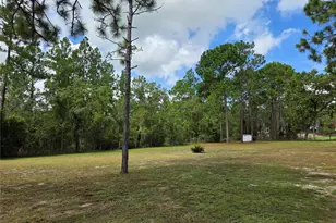 750 NE 131st Terrace, Williston, FL 32696 - Photo 39