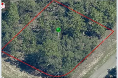 873 W Hampshire Boulevard, Citrus Springs, FL 34434 - Photo 5