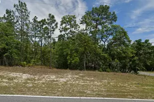 873 W Hampshire Blvd, Citrus Springs, FL 34434 - Photo 1