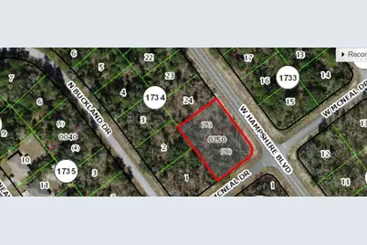 1418 W Hampshire Boulevard, Citrus Springs, FL 34434 - Photo 5
