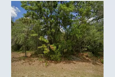 1895 W Hampshire Boulevard, Citrus Springs, FL 34434 - Photo 1