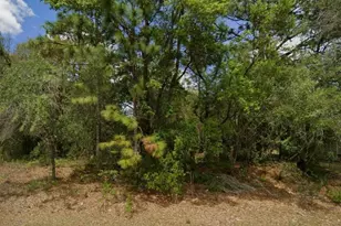1895 W Hampshire Blvd, Citrus Springs, FL 34434 - Photo 1