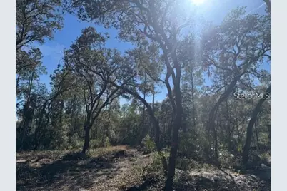 Tbd NE 150th Ave Road #LOT 5, Fort Mc Coy, FL 32134 - Photo 11