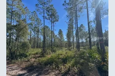 Tbd NE 150th Ave Road #LOT 5, Fort Mc Coy, FL 32134 - Photo 7