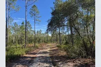 Tbd NE 150th Ave Road #LOT 5, Fort Mc Coy, FL 32134 - Photo 9