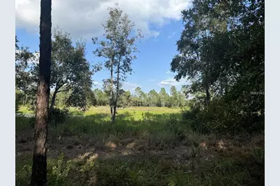 Tbd NE 150th Ave Road #LOT 5, Fort Mc Coy, FL 32134 - Photo 3