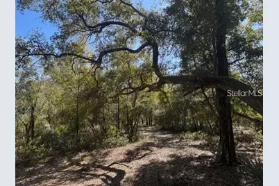 Tbd NE 150th Ave Road #LOT 5, Fort Mc Coy, FL 32134 - Photo 13