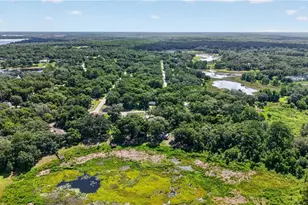 6255 SE 165th Ct, Ocklawaha, FL 32179 - Photo 35