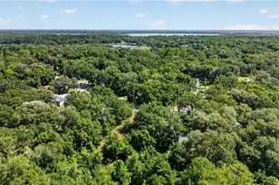6255 SE 165th Ct, Ocklawaha, FL 32179 - Photo 31
