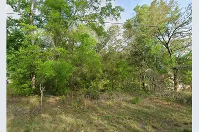 8280 N Galena Avenue, Citrus Springs, FL 34434 - Photo 5