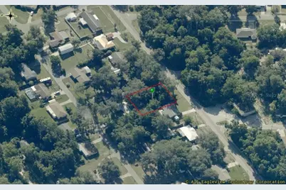 8731 E Gospel Island Road, Inverness, FL 34450 - Photo 5