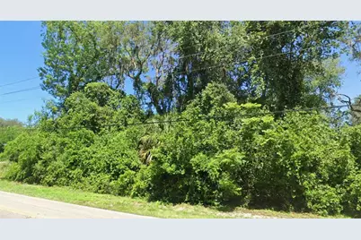 8731 E Gospel Island Road, Inverness, FL 34450 - Photo 7
