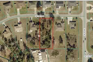 Tbd SW 109th Loop, Ocala, FL 34476 - Photo 1