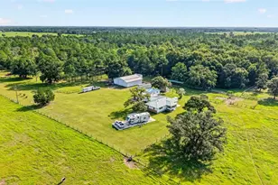 20500 NW 27 St, Morriston, FL 32668 - Photo 5