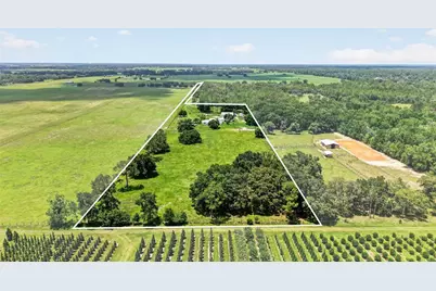 20500 NW 27th Street, Morriston, FL 32668 - Photo 1