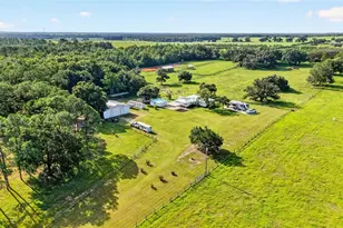 20500 NW 27 St, Morriston, FL 32668 - Photo 3