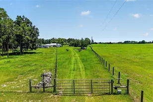 20500 NW 27 St, Morriston, FL 32668 - Photo 7