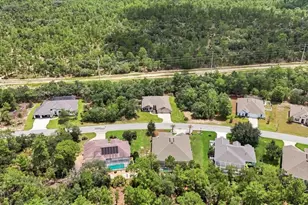 14 Lupine St, Homosassa, FL 34446 - Photo 45