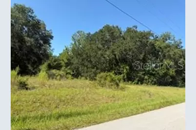 Tbd SE 59th Place, Ocklawaha, FL 32179 - Photo 1