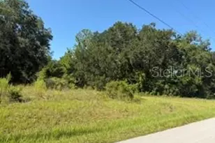 Tbd SE 59th Pl, Ocklawaha, FL 32179 - Photo 1