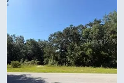Tbd SE 59th Place, Ocklawaha, FL 32179 - Photo 3