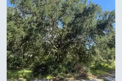 Tbd SE 59th Place, Ocklawaha, FL 32179 - Photo 7
