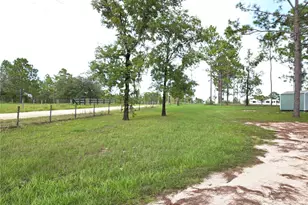 13030 SE 21st Pl, Morriston, FL 32668 - Photo 9