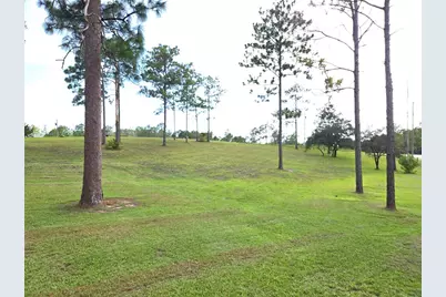 13030 SE 21st Place, Morriston, FL 32668 - Photo 5