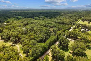 5581 NE 157th Terrace, Williston, FL 32696 - Photo 41
