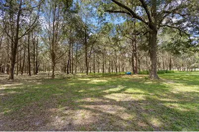 5581 NE 157th Terrace, Williston, FL 32696 - Photo 3