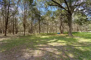 5581 NE 157th Terrace, Williston, FL 32696 - Photo 3