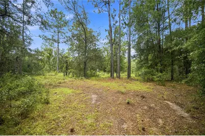 21350 SE 66th Street, Morriston, FL 32668 - Photo 1