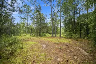 21350 SE 66th St, Morriston, FL 32668 - Photo 1