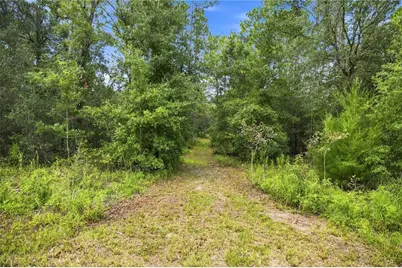 21350 SE 66th Street, Morriston, FL 32668 - Photo 5