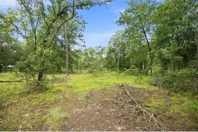21350 SE 66th Street, Morriston, FL 32668 - Photo 3