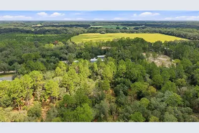 21350 SE 66th Street, Morriston, FL 32668 - Photo 7